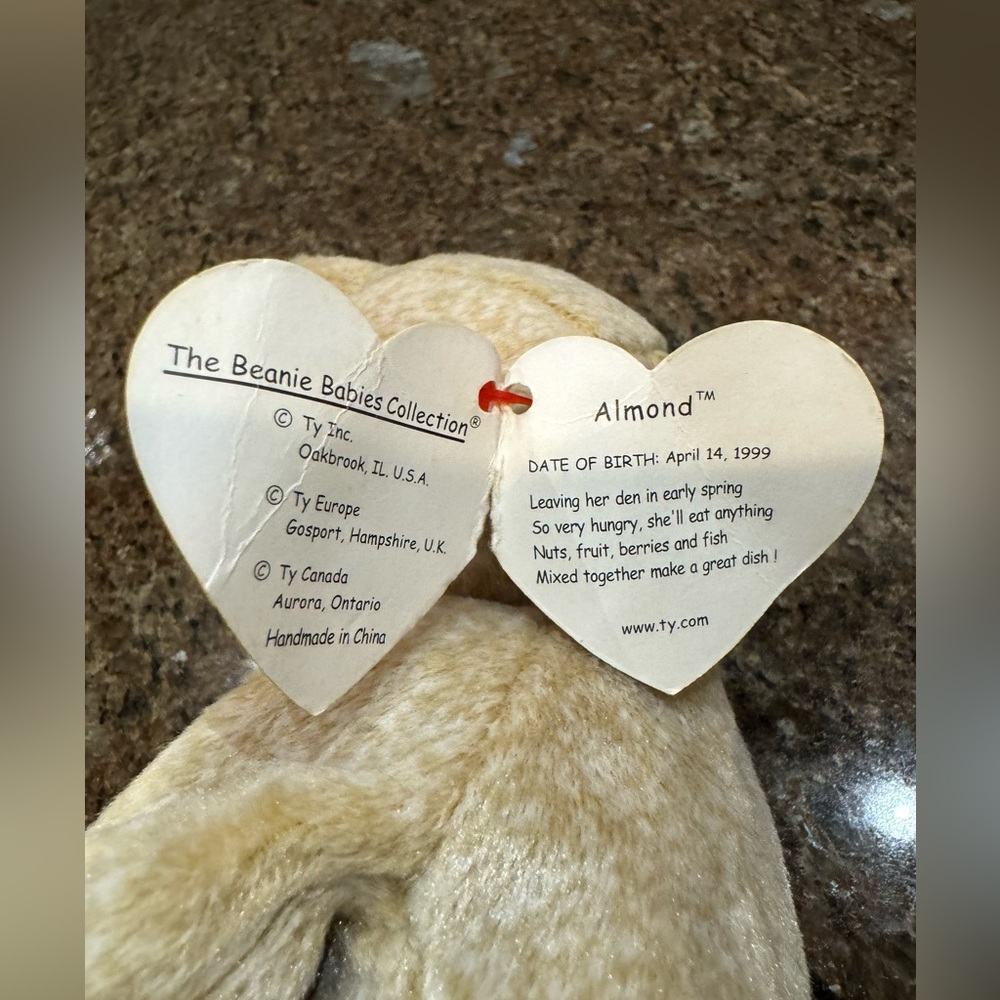 Ty Beanie Baby Almond The Bear DOB April 14, 1999 - Picture 7 of 8